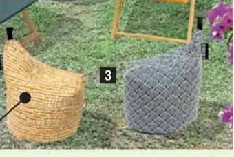 ALDI Poire De Jardin offre