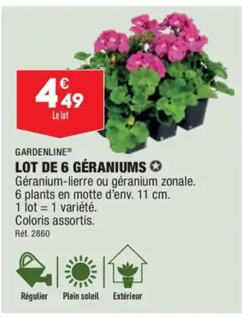ALDI Lot De 6 Géraniums offre