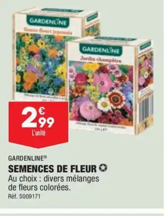 ALDI Semences De Fleur offre