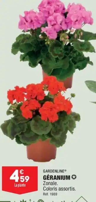 ALDI Géranium offre