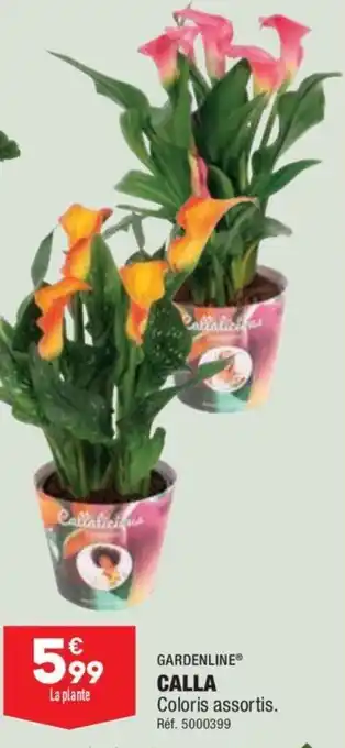ALDI Calla offre