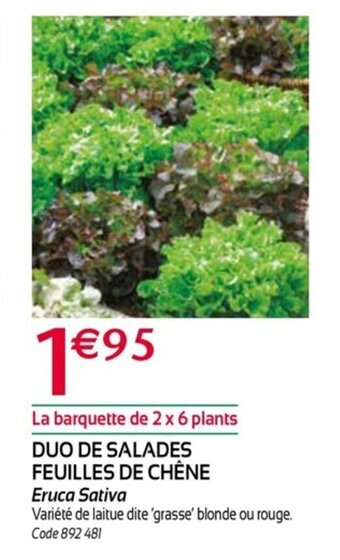 RAGT Jardin & Maison Duo de salades feuilles de chene offre