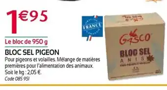 RAGT Jardin & Maison Bloc sel pigeon offre