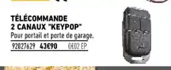 Télécommande 2 Canaux 'Keypop"