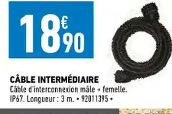 Cable Intermédiaire