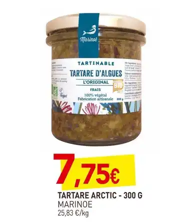 Marinoe tartare arctic