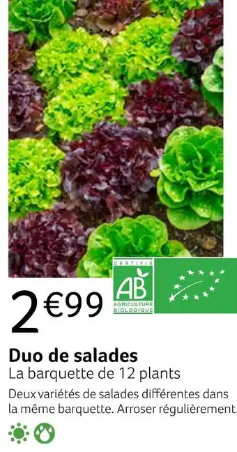 Duo de salades