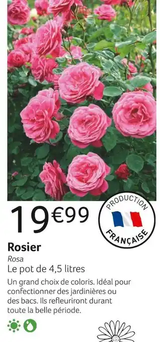 VillaVerde Rosier offre