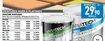 Brico Cash Peinture Acrylique offre