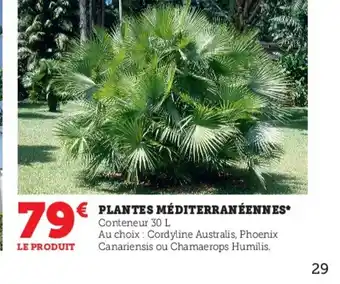 Hyper U Plantes méditerranéennes offre