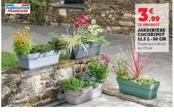 Hyper U Jardinière cocoripot offre
