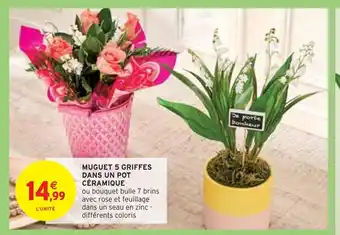 Intermarché Muguet 5 griffes dans un pot céramique offre