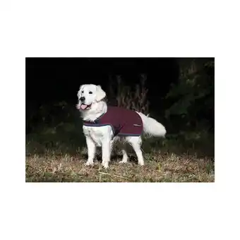 Padd Couverture polaire pour chien... offre