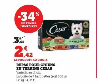 Super U Repas pour chiens en terrine cesar offre