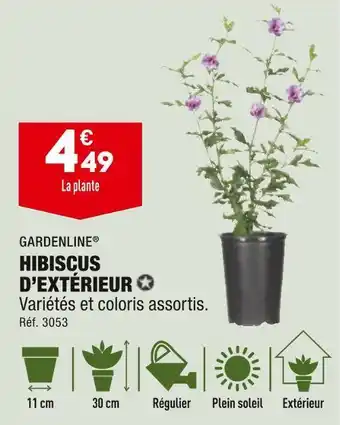 ALDI Gardenline hibiscus d’extérieur offre