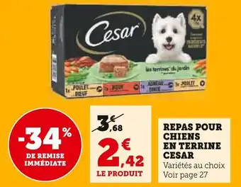 Super U Cesar repas pour chiens en terrine offre