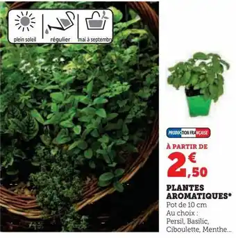 Super U Plantes aromatiques offre