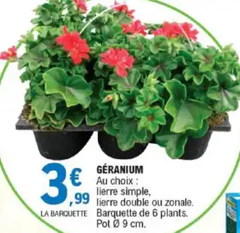 E.Leclerc Géranium offre