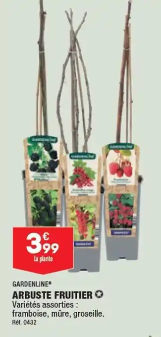 ALDI Arbuste fruitier offre