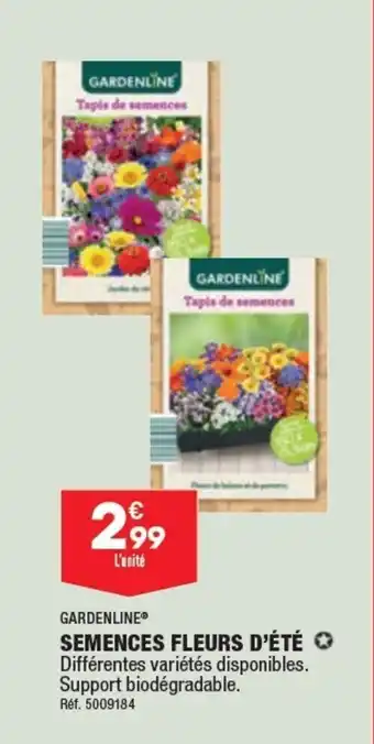 ALDI Semences fleurs d'été offre