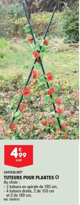 ALDI Tuteurs pour plantes offre