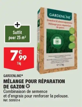 ALDI Mélange pour réparation de gazon offre