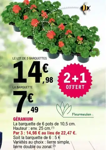 Géranium