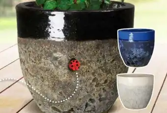 E.Leclerc Vase Seaside offre