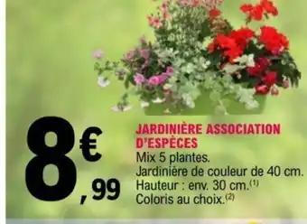 E.Leclerc Jardinière Association D'Espèces offre