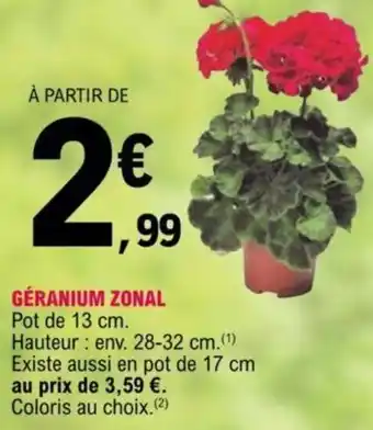 E.Leclerc Géranium Zonal offre