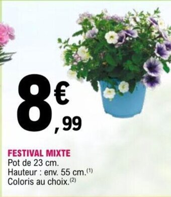 E.Leclerc Festival Mixte offre