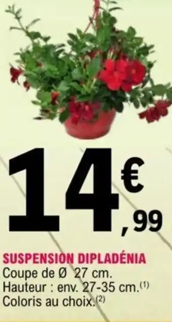 E.Leclerc Suspension Dipladénia offre