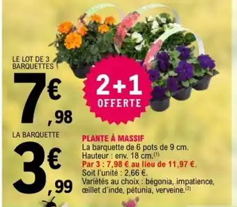 E.Leclerc Plante à Massif offre