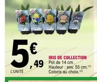E.Leclerc Iris de Collection offre