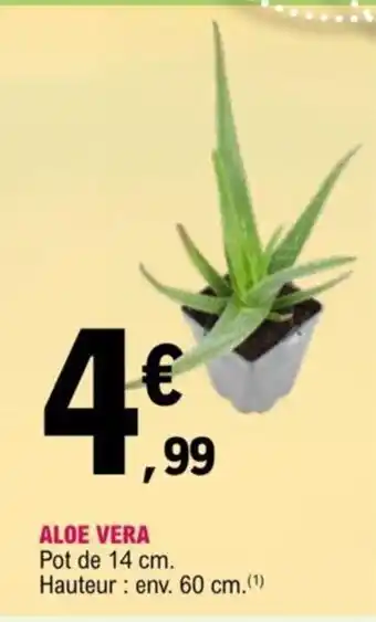 E.Leclerc Aloe Vera offre