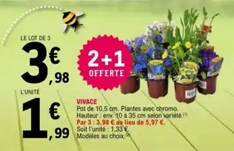 E.Leclerc Vivace offre