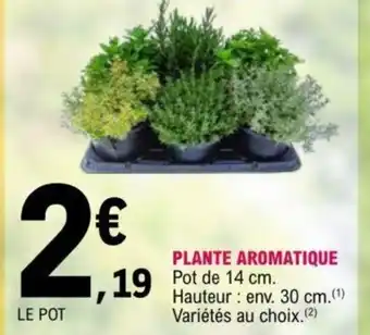 E.Leclerc Plante Aromatique offre