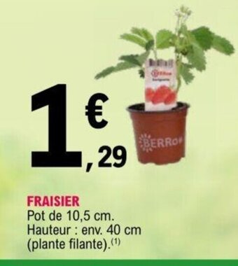 E.Leclerc Fraisier offre