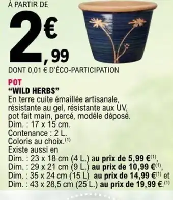 E.Leclerc Pot Wild Herbs offre