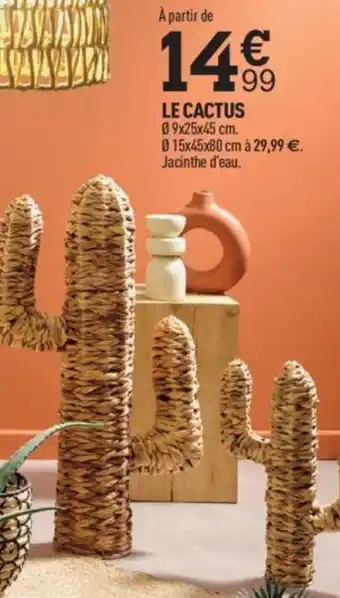 Centrakor Le Cactus offre