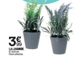 Centrakor La Lavande offre