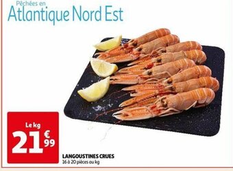 Langoustines crues