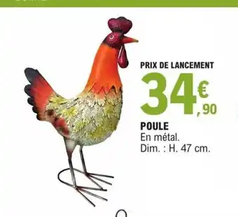 Poule