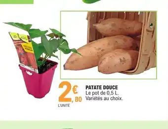 E.Leclerc Patate Douche offre