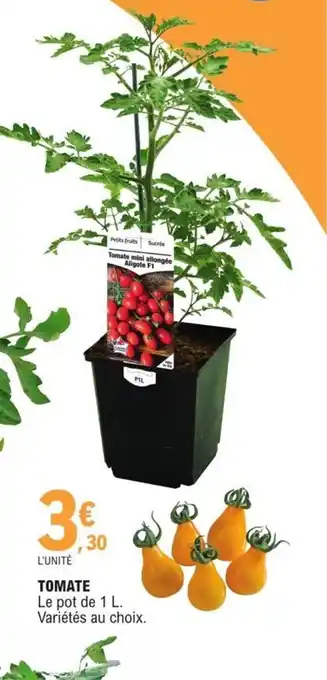 E.Leclerc Tomate offre