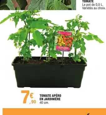 E.Leclerc Tomate Apéro En Jardiniére offre