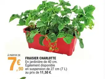 E.Leclerc Fraisier Charlotte offre