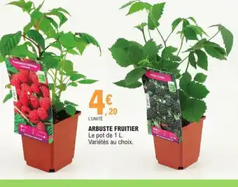 E.Leclerc Arbuste Fruitier offre