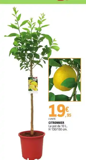 E.Leclerc Citronnier offre