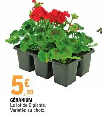 E.Leclerc Géranium offre